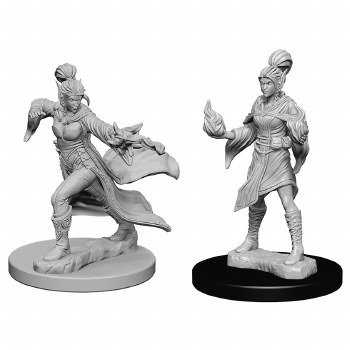 PF DC: Elf Sorcerer - Female