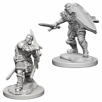 D&amp;D NMU: Human Paladin - Male