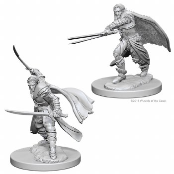 D&amp;D NMU: Elf Ranger - Male