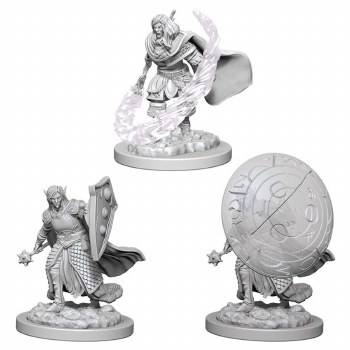 D&amp;D NMU: Elf Cleric - Male