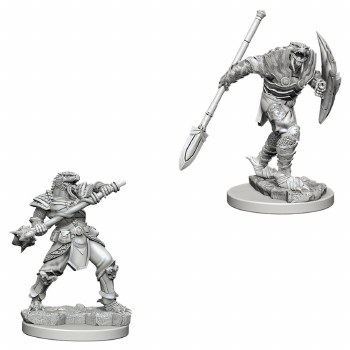 D&amp;D NMU: Dragonborn Fight Spear Male