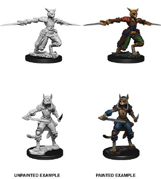 D&amp;D NMU: Tabaxi Rogue - Female