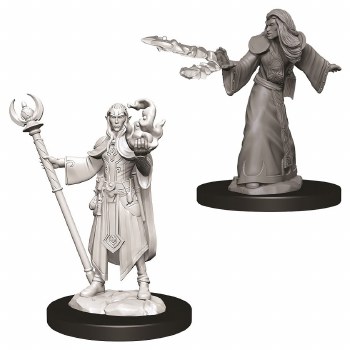 D&amp;D NMU: Elf Wizard - Male