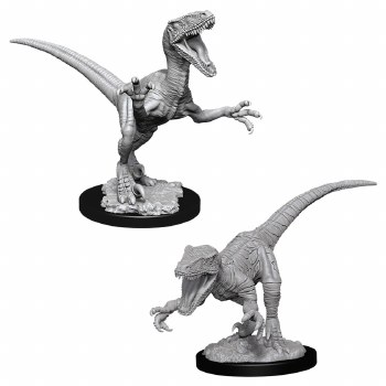 WZK DC: Raptors