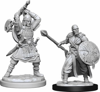 D&amp;D NMU: Human Barbarian - Male