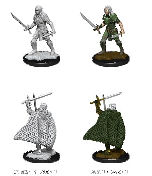 PF DC: Elf Fighter - Male