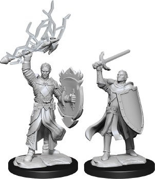 D&amp;D NMU: Half-Elf Paladin - Male
