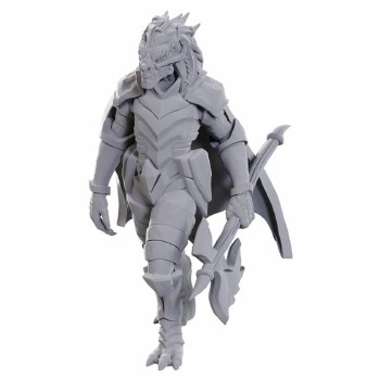 D&amp;D: NMU: Dragonborn of Tiamat