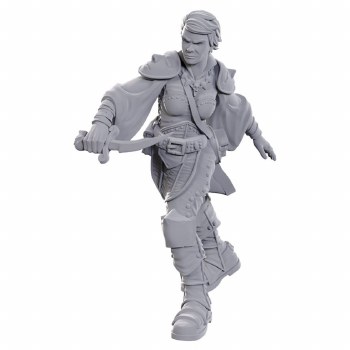 D&amp;D: NMU: Swashbuckler