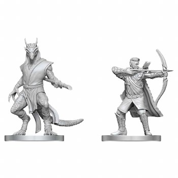 D&amp;D: NMU: Elf Ranger &amp; Dragonborn Monk
