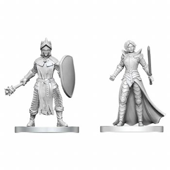 D&amp;D: NMU: Black Gauntlet &amp; Zhentilar Pal