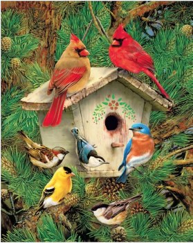 Feathered Retreat - 1000pc Puzzle