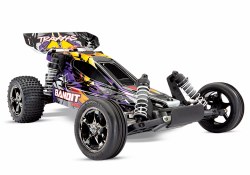 1/10 Bandit VXL 2WD Brushless RC Buggy - Purple