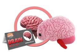 Brain Organ Plush