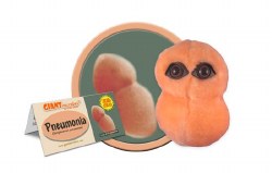 Pneumonia Plush