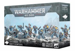 Space Wolves: Grey Hunters