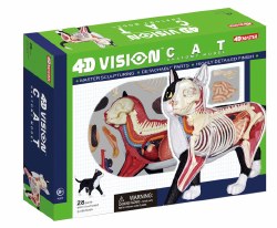 Black & White Cat Anatomy Model