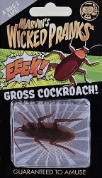 Marvin's: Gross Cockroach