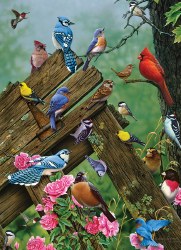 Birds of the Forest 1000pc Puzzle