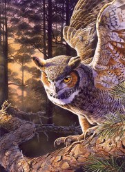 Evening Hunter 1000pc Puzzle