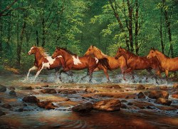 Spring Creek Run 1000pc Puzzle