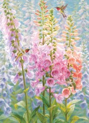 Summer Rainbow 500pc Puzzle