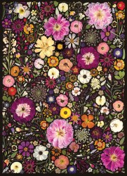 Flower Press: Little Hollow & Red Daisy  500pc Puzzle