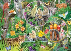 Rainforest Magic 350pc Puzzle