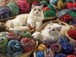 Ragdolls - Cats 275pc Puzzle