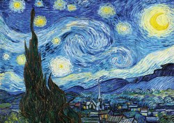 Starry Night 1000pc Puzzle