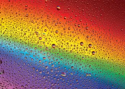 Rainbow Drops 1000pc Puzzle