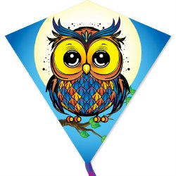 30" Diamond Kite - Owl