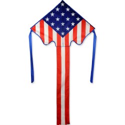 Lg Easy Flyer -Patriotic Stars