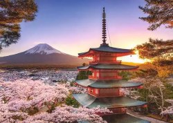 Fuji Cherry Blossom 1000pc Puzzle