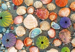 Puzzle Moment: By The Seashore 300pc Puzzle