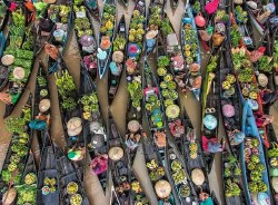 Floating Market Indonesia 500pc Puzzle