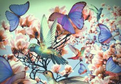 Puzzle Moment: Hummingbird 300pc Puzzle