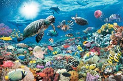 Beneath the Sea 5000 Piece Puzzle