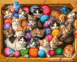 Kittens Galore 1000pc Puzzle