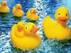 Rubber Duckies 60pc Puzzle