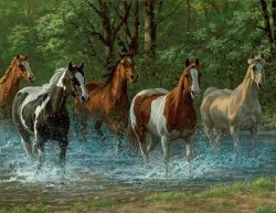 Summer Creek 36pc Puzzle