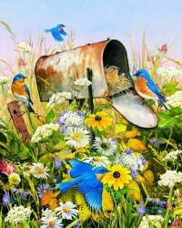 Bluebird 36pc Puzzle
