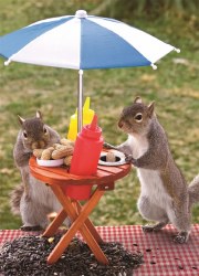 Squirrel Feeder 350pc Puzzle