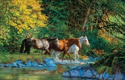 Bear Creek Crossing 1000pc Puzzle