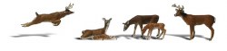 White-Tail Deer - HO Scale