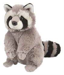 CK Raccoon  12"