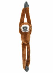 Hanging Lar Gibbon 20"