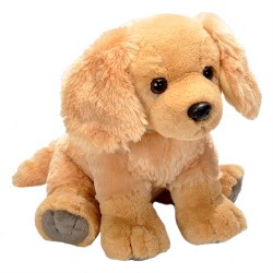 CK Golden Retriever 12"