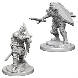 D&D NMU: Human Paladin - Male