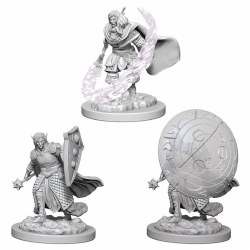 D&D NMU: Elf Cleric - Male